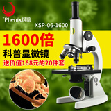 凤凰（Phenix） 生物显微镜XSP-06-1600学生教学高倍高清家用养殖儿童显微镜 标配+手机连接支架 实用20件实验工具