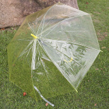 强迪透明伞 成人伞糖果色雨伞 加厚PVC长柄伞 直柄伞 公主伞 手柄加粗  黄色(加粗手柄) 伞径93CM