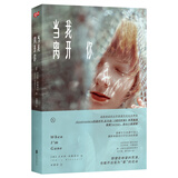 当我离开你 小说