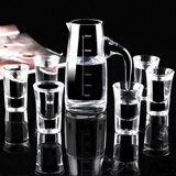 VTyee白酒杯小酒杯套装分酒器量酒器酒盅白酒盅一口杯 大肚分酒器+6只15ml酒杯