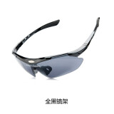 瑞仕豹瑞仕豹ROBESBON  户外太阳镜运动跑步装备防风沙眼镜男女骑行眼镜 亮黑（灰色镜片）