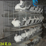 鹏实养殖兔笼商品笼/獭兔笼子大号子母兔笼特大/种兔笼/兔笼家用兔舍 24笼位网底带整套