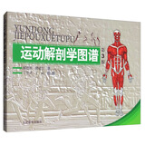 运动解剖学图谱（第3版）