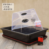 爱丽丝S-5育苗箱多肉叶插种植组合盆栽有盖子可选播种育苗盆托盘 透明盖+爱丽思箱+A3托盘