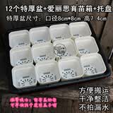 IRIS爱丽思S-5育苗箱多肉叶插种植组合盆栽有盖子可选播种育苗盆托盘 12个特厚白盆+爱丽思箱+A3托盘