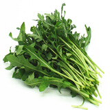 威廉农场芝麻菜 新鲜蔬菜 新鲜 西餐料理 Arugula 500g 500g