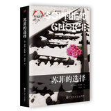 苏菲的选择/胜利译丛