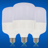 登展 LED三防平头灯球泡灯玉米灯家用照明防雾安全带罩球泡灯泡节能灯 平头球泡灯-正白光-60W(瓦) 常用E27大螺口