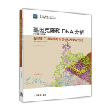 基因克隆和DNA分析（第7版 影印版）