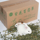 朗缤 苜蓿草幼兔子荷兰猪龙猫豚鼠食用干草 苜蓿草 1箱（1000g）