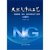 天然气净化工艺：脱硫脱碳、脱水、硫黄回收及尾气处理（第二版）