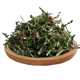 祖母绿（Zumulu）祖母绿顺丰航空苦菜新鲜野菜 曲麻菜 新鲜野生蒲公英 婆婆丁1000g