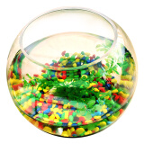 诺摩（NOMOY PET）圆形鱼缸生态金鱼缸乌龟缸超白玻璃小型鱼缸办公室迷你小鱼缸 大号套餐一