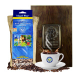 沃伦芬 蓝山咖啡豆  牙买加原装进口摩品山脉蓝山咖啡豆粉烘培豆454g 1磅麻布袋装 454g