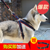 皮皮淘狗链宠物狗狗牵引绳带拴遛狗绳狗带中小大型犬牵狗绳金毛泰迪柯基 牛仔布牵引绳 XL