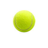 WITESS 威特斯初级训练比赛耐打网球 不带线网球单只装