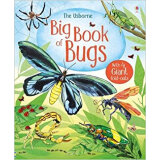 Big Book of Bugs