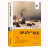 钢铁是怎样炼成的 名家名译 中文全译本 世界经典文学名著外国文学小说精装典藏版（八年级上册）