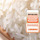 【新品促销】2025正宗猫牙米长粒香米软糯特价大米细米香米 谷精品猫牙米10kg*1袋