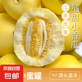 山东小蜜罐甜瓜脆甜可口 带箱2斤 净重1.7斤起