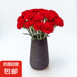 【康乃馨/玫瑰花】京东冷链鲜花云南基地直发礼物花束多色花期长4 红色康乃馨10枝