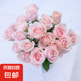 【玫瑰花】10枝装特价云南鲜花直发节日鲜花礼物花束家用水养插花 粉玫瑰10枝