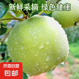 2025现摘青苹果新鲜水果当季时令酸脆甜孕妇水果猴哥 青苹果带箱5斤60mm