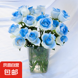 【玫瑰花】10枝装特价云南鲜花直发节日鲜花礼物花束家用水养插花 碎冰蓝玫瑰10枝【喷色】