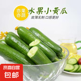 山东新鲜小黄瓜健康轻食 带箱2斤