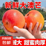 澳芒新鲜水果批发应季水果芒果 4斤装