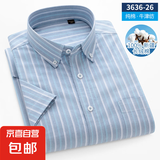 【100%新疆长绒棉】夏季新款男士纯棉短袖衬衫薄款时尚商务正装 3636-26 S (38) 【建议110-120斤】