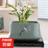 盆生花道长方形陶瓷花盆ins风简约高颜值室内绿植盆栽奶油风家用 特大号长盆古典喜鹊(配托盘) 无规格