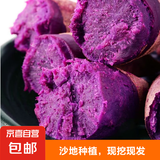 紫罗兰红薯沙地现挖紫薯宝宝辅食紫芋头山芋苕粗粮新鲜包邮 净重 紫罗兰紫薯2斤小果 带箱