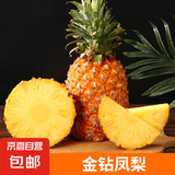 海南金钻凤梨 新鲜水果无眼菠萝热带水果当季整箱 金钻凤梨净重8.5-9斤4-6个