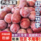 钱排三华李红心李子 送辣椒盐 生鲜孕妇水果脆甜现摘产地直发包邮 【中果18-25克】净重2斤