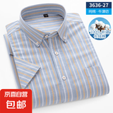 【100%新疆长绒棉】夏季新款男士纯棉短袖衬衫薄款时尚商务正装 3636-27 2XL (42) 【建议145-165斤】
