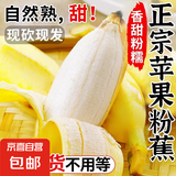 苹果蕉新鲜香蕉自然熟芭蕉香甜粉糯万澄现摘生鲜现发水果 带箱5斤