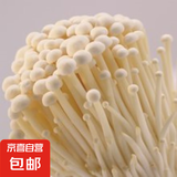 【新鲜金针菇】涮烤煲汤酱菜伴侣大小精品装蔬菜制品新鲜食用菌菇 400ｇ金针菇（150ｇ*1+250*1）