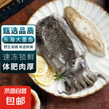 大墨鱼 鱼 鲜活冷冻舟山海捕东海特大目鱼乌贼海鲜水产非墨鱼仔 墨鱼 5斤(净重)