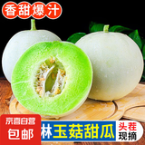玉菇甜瓜冰淇淋现摘正宗新鲜水果整箱当季水果香瓜冰淇淋 【精品装】 9斤(净重8.5斤)