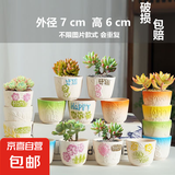 多肉小花盆陶瓷特价清仓卡通动物精致小号大口径可爱专用盆桌面 超值随机10个拇指盆不限图片款 中