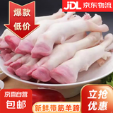 新鲜冷冻活杀整只生带筋羊蹄子羊脚羊爪子干净退毛生鲜包邮 带筋白羊蹄（约2个）1斤/袋*4袋