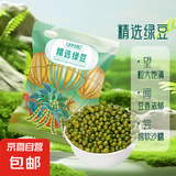 东北绿豆 可发芽打豆浆 绿豆糕饼馅烘焙原料五谷杂粮 精选绿豆500g*1