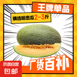 现货正宗保甜当季新鲜水果脆甜晓蜜哈密瓜 精选2-3斤（1颗装）