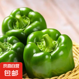 现摘新鲜圆辣椒超市即食太空椒皮厚肉多不辣水果灯笼椒 2斤专享 2斤