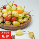 京东新鲜五彩辣椒七彩椒薄皮灯笼椒生鲜蔬菜调料七彩小辣椒 2斤装 2斤
