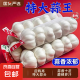 山东金乡蒜大蒜出口标准精选大蒜头蔬菜调料单果5cm 出口标准网兜3头 90g 5-5.5cm特大