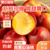 正宗国产红油桃孕妇水果华北强黄白肉随机发 带箱1斤净重0.8左右单果60g+
