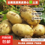 25年云南新鲜土豆现挖黄心黄皮土豆马铃薯产地直发黄心土豆 黄皮黄心土豆 3斤 带箱 中大果