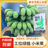 禁止蕉绿小米蕉当季水果新鲜水培生鲜产地直发室内植物可食用 5-6斤【多种卡片随机送无花瓶】